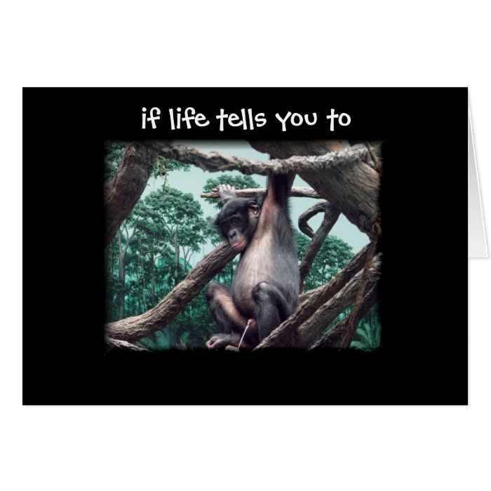 just sayin' ~ funny encouragement on life card card