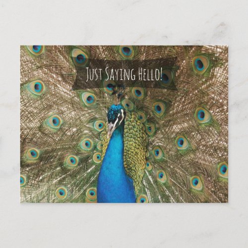 Just Saying Hello Bold Peacock Photo Friendly Note Postcard