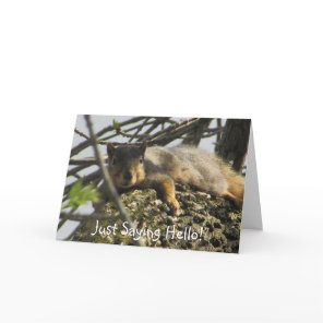 Just Saying Hello Cute Squirrel in Tree Card