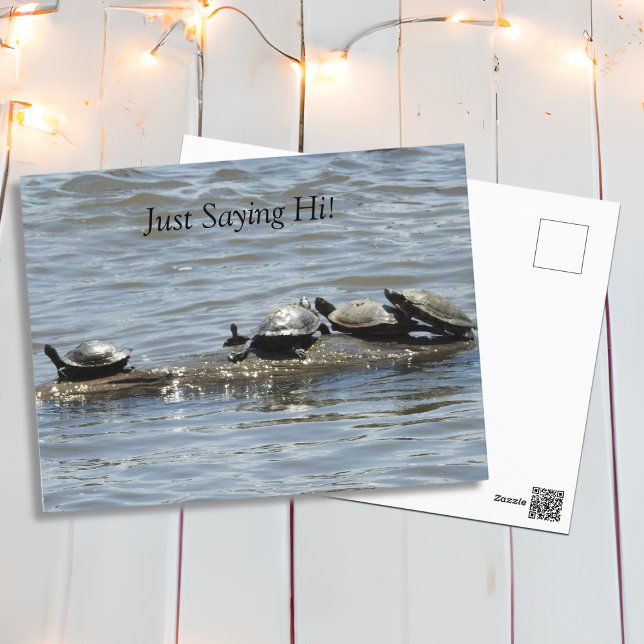 Just Saying Hi, Cute Turtles Sunbathing on Log  Postcard (Creator Uploaded)