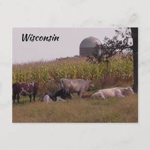Just Saying Hi from Wisconsin Cows and Farm Postcard