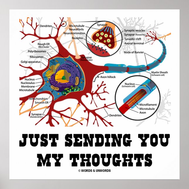 Just Sending You My Thoughts Neuron Synapse Poster (Front)