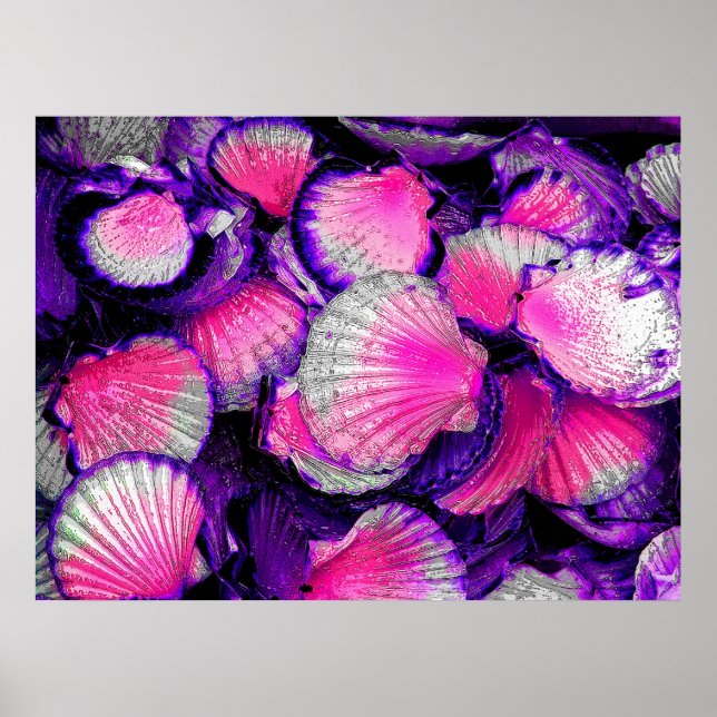 Just Shells Poster (Front)