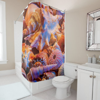 Just Shells Shower Curtain
