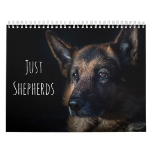 Just Shepherds Calendar