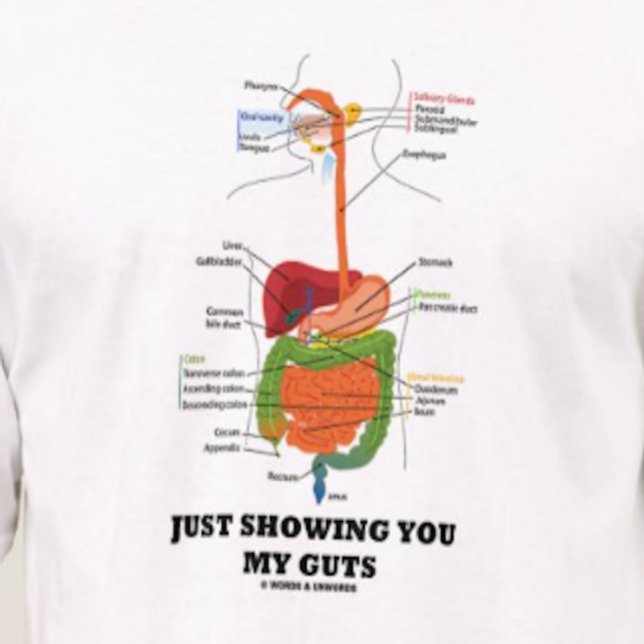 Just Showing You My Guts (Black Font Digestive) T-Shirt (T-shirt featuring human digestive system for anyone who desires to say "Just Showing You My Guts")