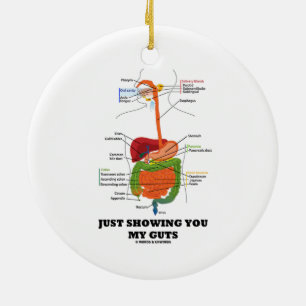 Just Showing You My Guts (Digestive System Humor) Ceramic Ornament