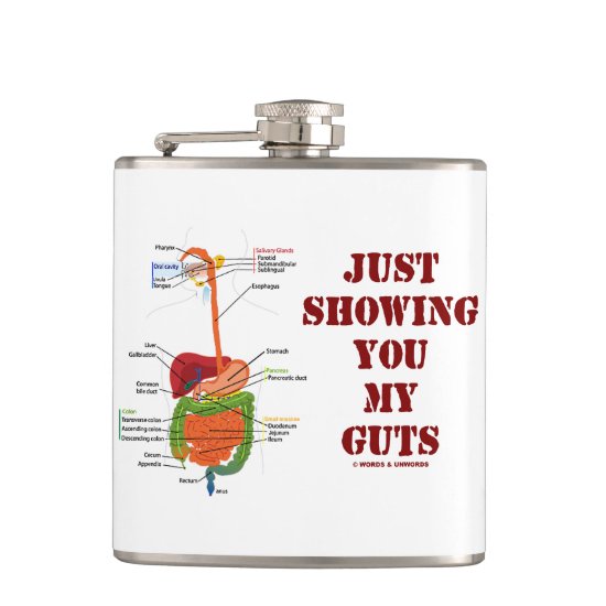 Just Showing You My Guts Digestive System Humor Flask