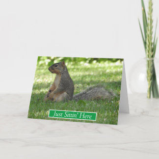 Just Sitting Here Thinking About You, Squirrel Card