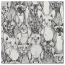 just sphynx cats black white fabric