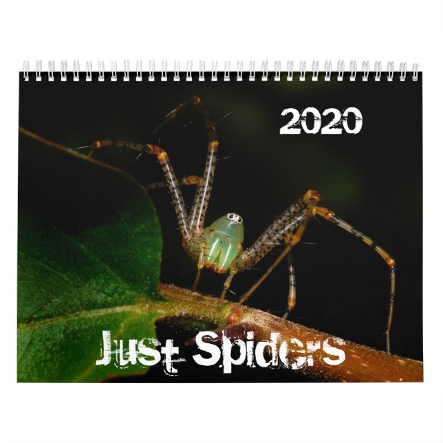 Just Spiders Calendar, 2020 Calendar (Cover)