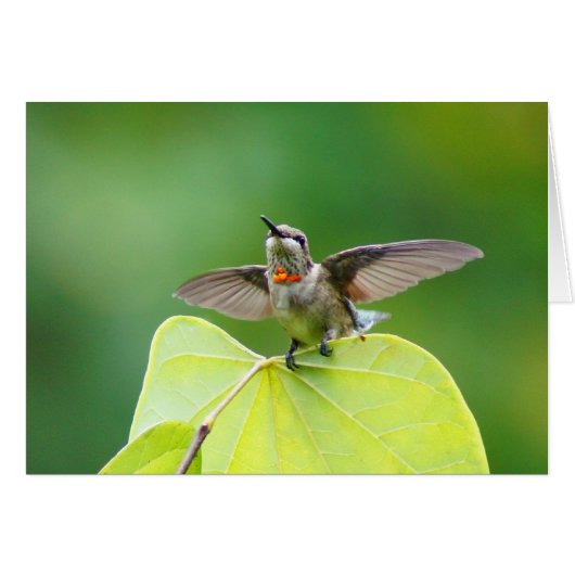 Just stopping by! (Front Horizontal)