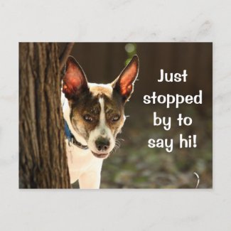 Just Stopping for a Quick Hello: Peeping Terrier postcard