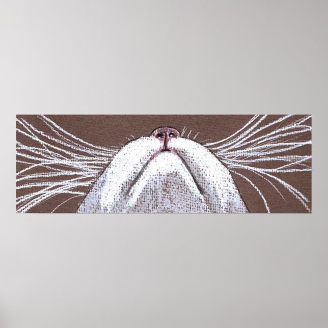JUST THE CATS WHISKERS 2 POSTER (Front)