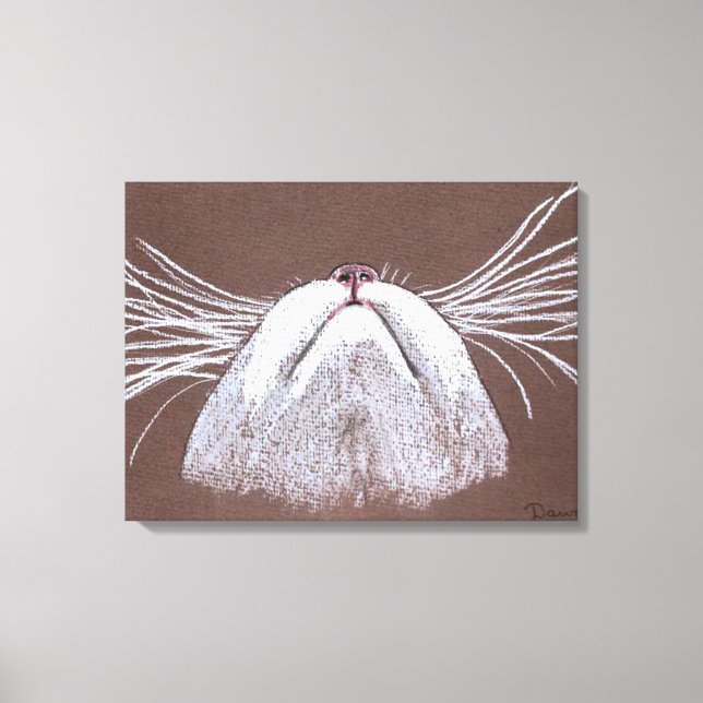 JUST THE CATS WHISKERS CANVAS PRINT (Front)