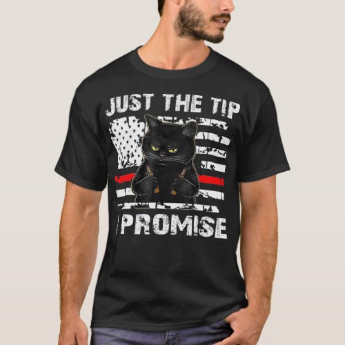 Just The Tip I Promise Gun American Flag  T_Shirt