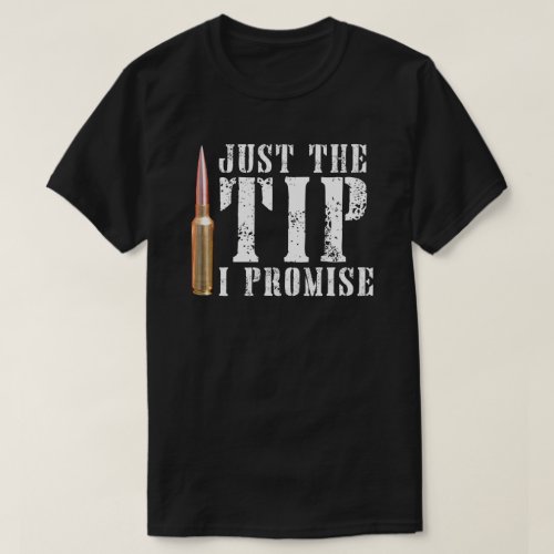 Just The Tip I Promise T_Shirt