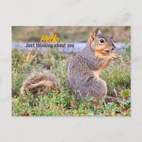 Just Thinking of You Postcard 
