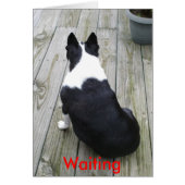 Just Waiting..., Waiting (Front)