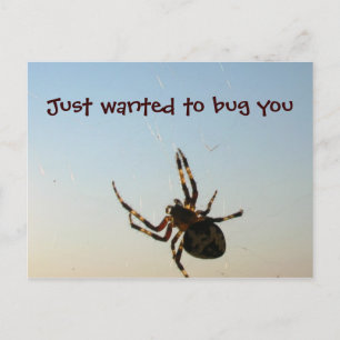 Just Wanted to Bug You Postcard