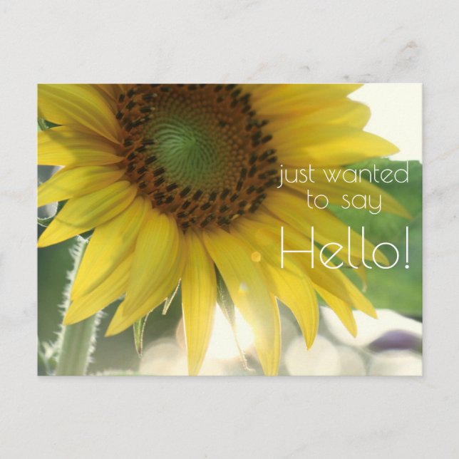 "Just Wanted To Say Hello!" Bright Sunflower  Postcard (Front)