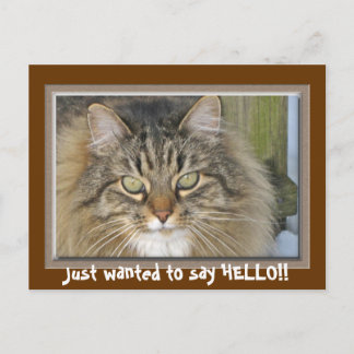Just wanted to say HELLO!! Postcard