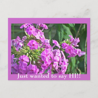 Just wanted to say HI!! Postcard