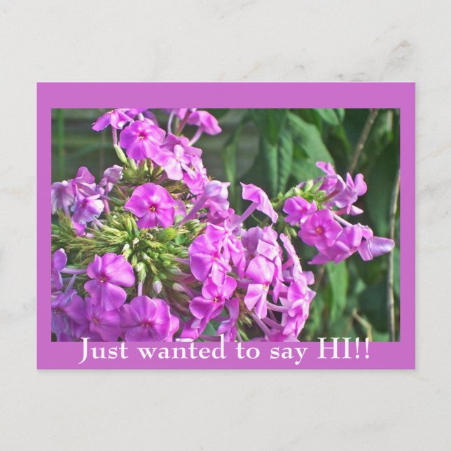 Just wanted to say HI!! Postcard (Front)