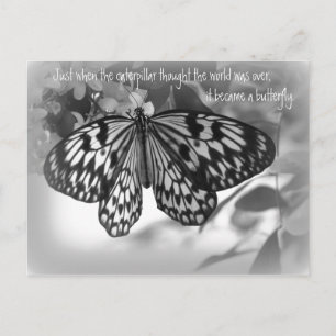 Just when the caterpillar thought the world postcard