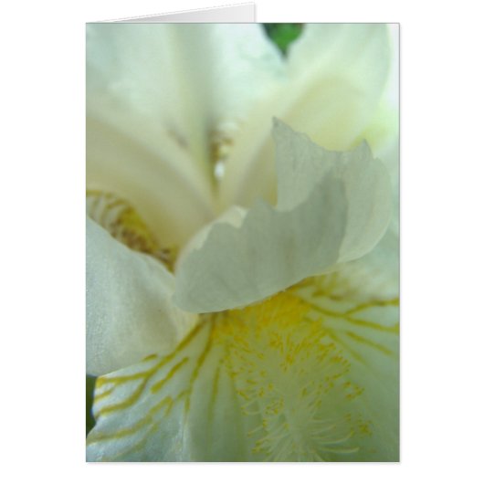 juste de tout (Front)