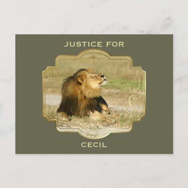Justice for Cecil the Lion Killed in Africa Postcard (Front)