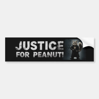 Justice for Peanut the Squirrel  BUMPER STICKER 