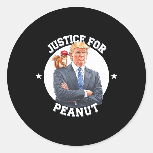 Justice For Peanut The Squirrel – Christmas Xmas S Classic Round Sticker (Front)