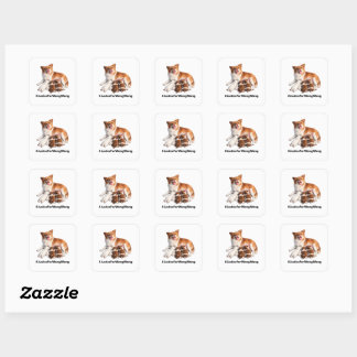 Justice for Wang Wang Square Sticker
