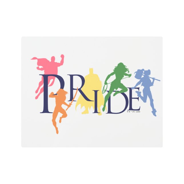 Justice League Pride Character Silhouettes Metal Print (Front)