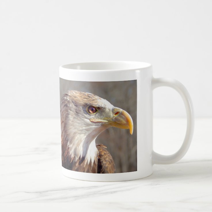 Juvenile Bald Eagle Coffee Mug | Zazzle