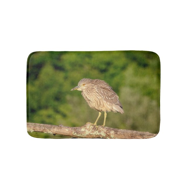 Juvenile Black Crowned Night Heron Bathroom Mat (Front)
