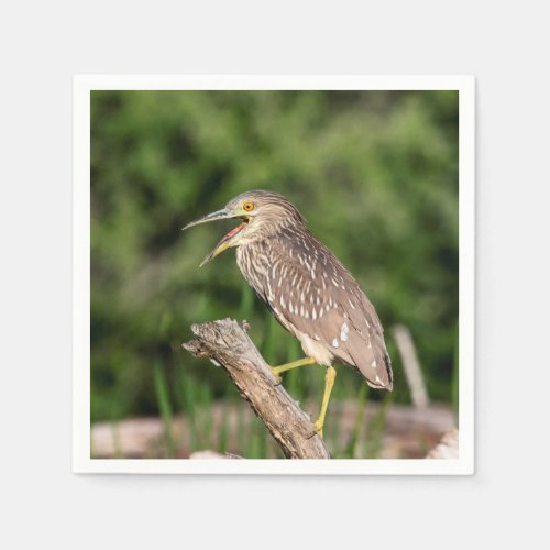 Juvenile Black Crowned Night Heron Napkins