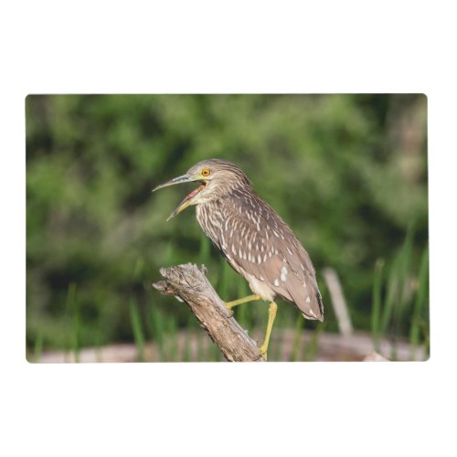 Juvenile Black Crowned Night Heron Placemat