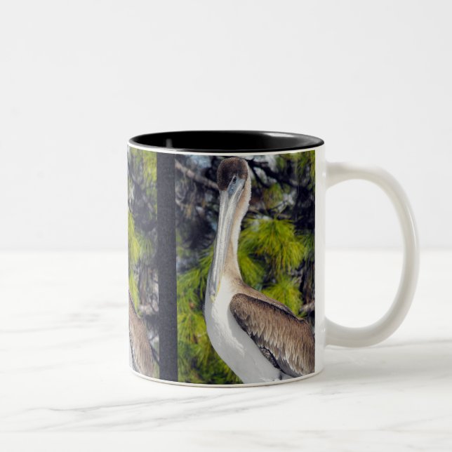 Juvenile Brown Pelican Two-Tone Coffee Mug (Right)