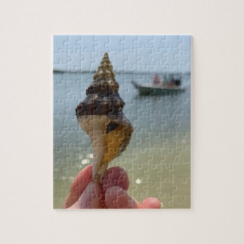 Juvenile Horse Conch Seashell Jigsaw Puzzle