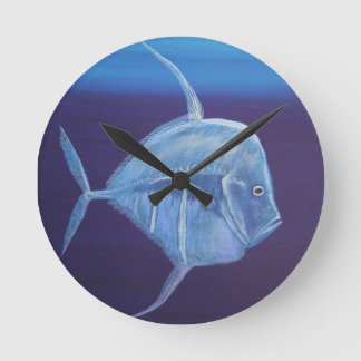 Juvenile Look down fish. Round Clock
