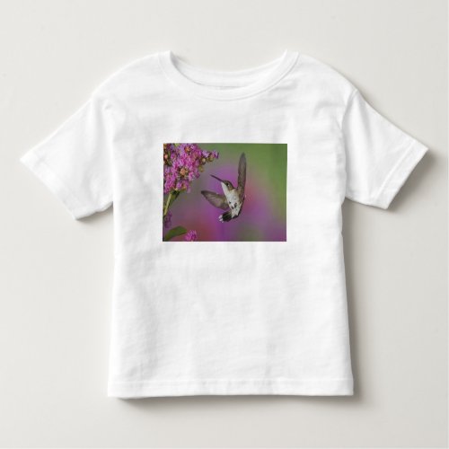 Juvenile male Ruby Throated Hummingbird in Toddler T_shirt
