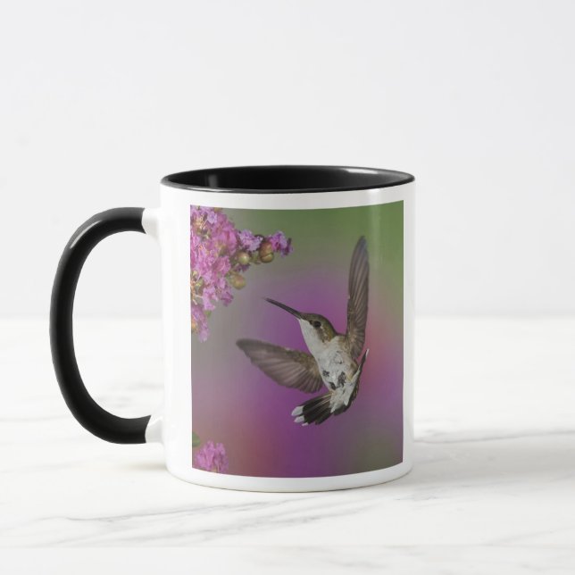 Juvenile male Ruby Throated Hummingbird Mug (Left)