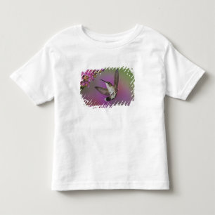 Juvenile male Ruby Throated Hummingbird Toddler T-shirt