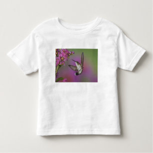 Juvenile male Ruby Throated Hummingbird Toddler T-shirt