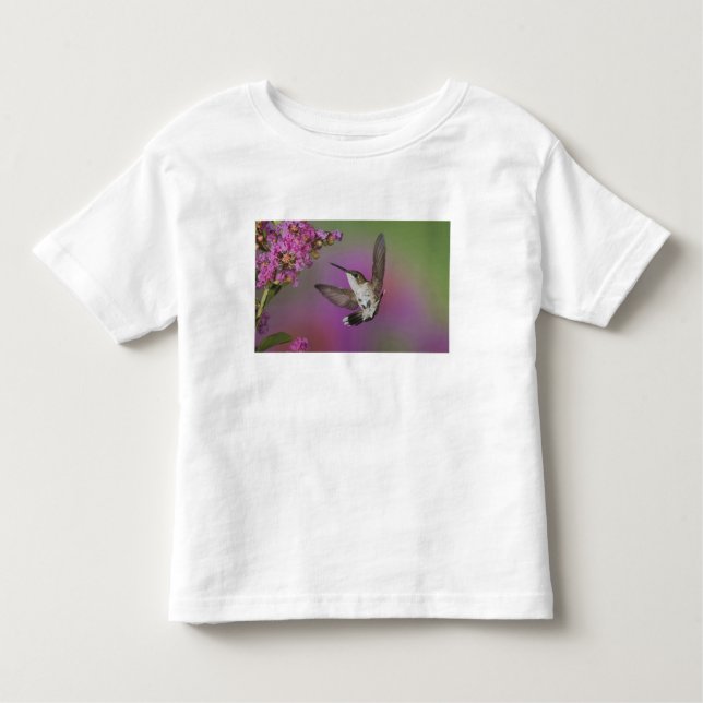 Juvenile male Ruby Throated Hummingbird Toddler T-shirt (Front)