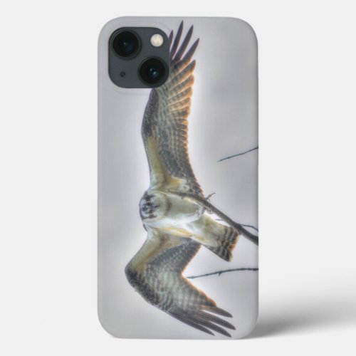 Juvenile Osprey Fish_Eagle Wildlife Photo Scene iPhone 13 Case