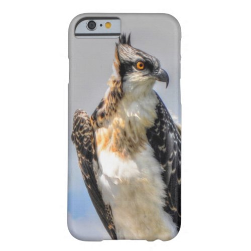 Juvenile Osprey Fish_Eagle Wildlife Photograph Barely There iPhone 6 Case