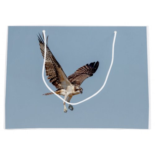 Juvenile Osprey in flight Large Gift Bag